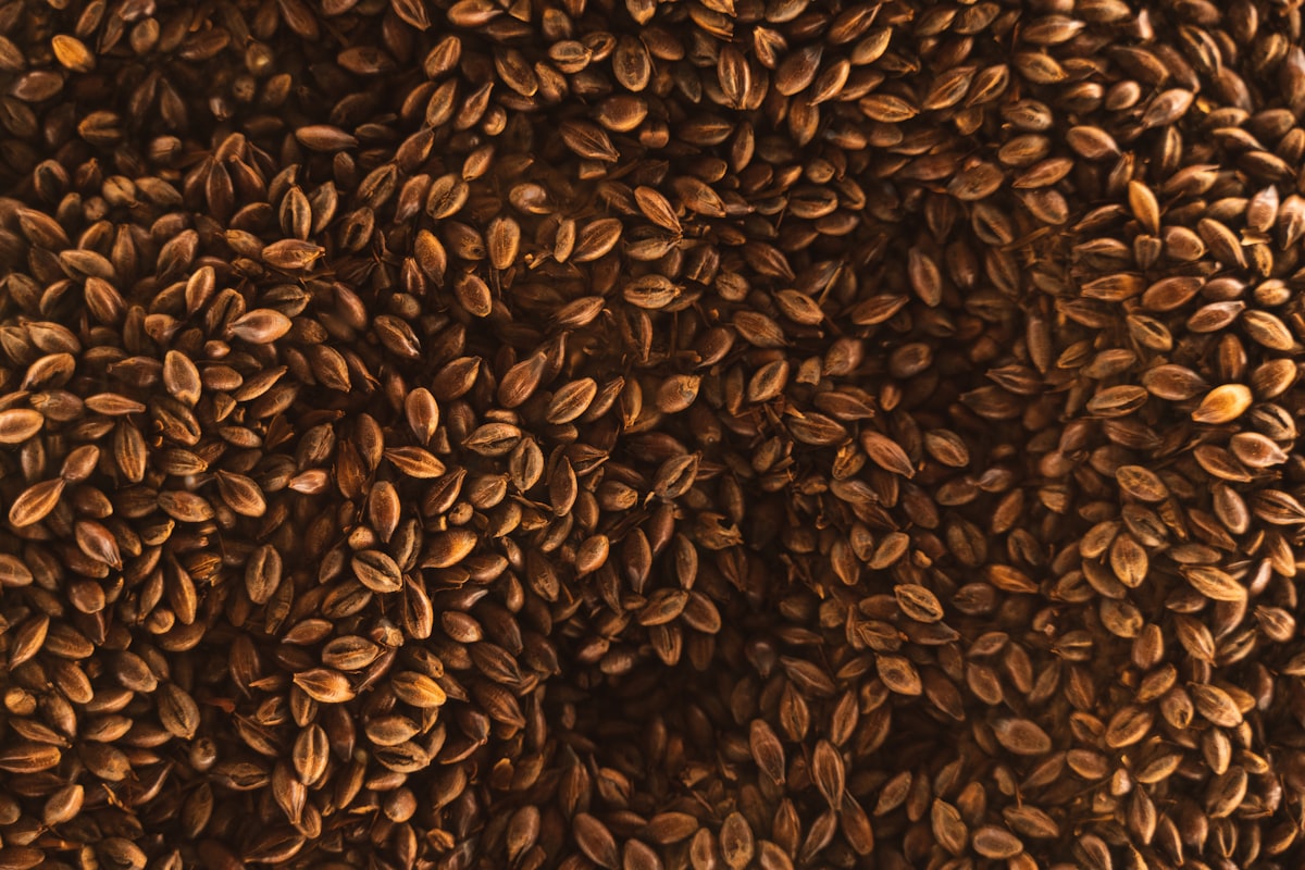 Semillas nutritivas